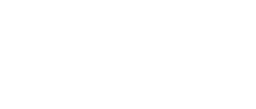 Terapêutica Veterinária na Prática